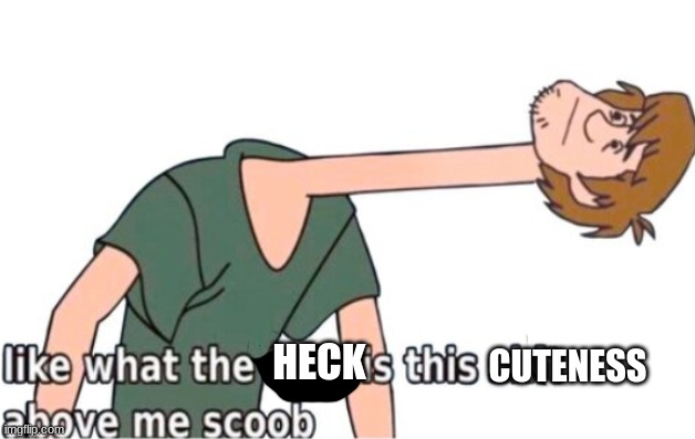 What is this shit above me, Scoob | HECK CUTENESS | image tagged in what is this shit above me scoob | made w/ Imgflip meme maker