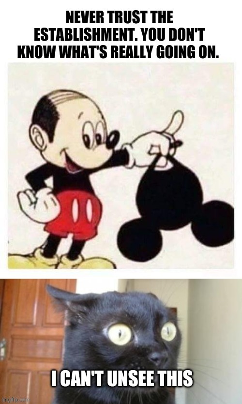 Mickey Conspiracy | image tagged in establishment,conspiracy,mickey mouse,unsee,shocked cat | made w/ Imgflip meme maker