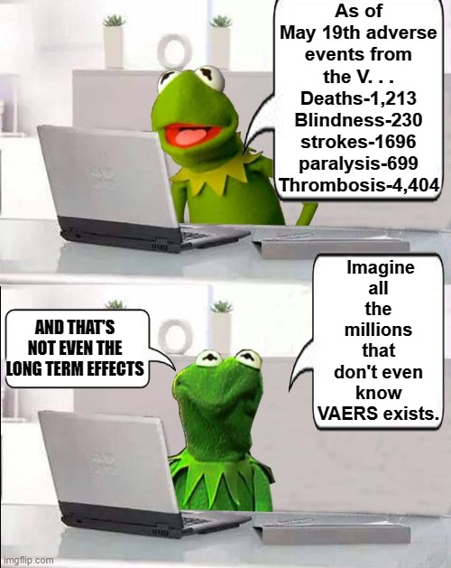 Vaccine Adverse Event Reporting System | As of May 19th adverse events from the V. . .
Deaths-1,213
Blindness-230
strokes-1696
paralysis-699
Thrombosis-4,404; Imagine all the millions that don't even know VAERS exists. AND THAT'S NOT EVEN THE LONG TERM EFFECTS | image tagged in hide the pain kermit,vaers,vax,antivax,adverse events,covid19 | made w/ Imgflip meme maker