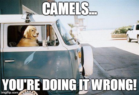 CAMELS... YOU'RE DOING IT WRONG! | image tagged in dog drives | made w/ Imgflip meme maker