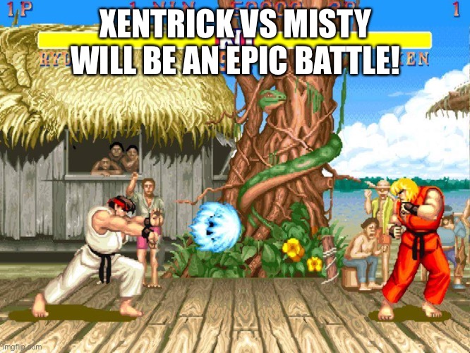 Street Fighter 2 | XENTRICK VS MISTY WILL BE AN EPIC BATTLE! | image tagged in street fighter 2 | made w/ Imgflip meme maker