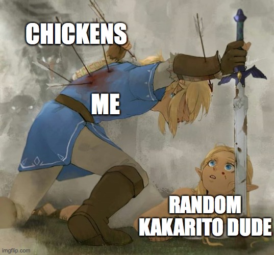 Link and zelda | CHICKENS; ME; RANDOM KAKARITO DUDE | image tagged in link and zelda | made w/ Imgflip meme maker