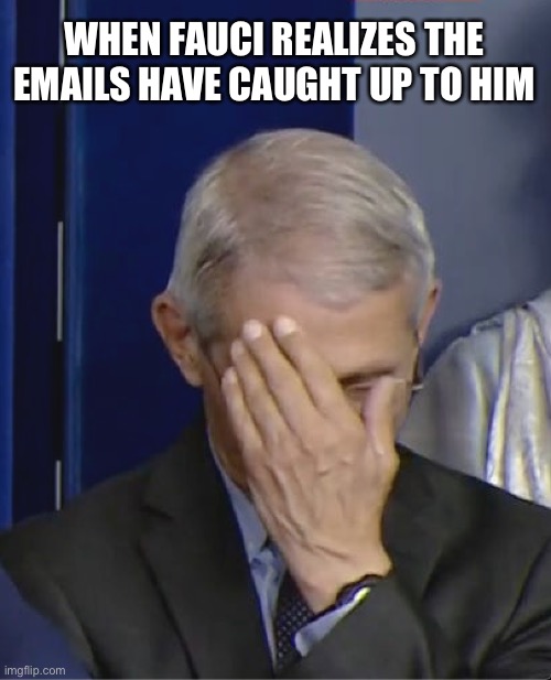 Fauci signed his own death warrant in those emails | WHEN FAUCI REALIZES THE EMAILS HAVE CAUGHT UP TO HIM | image tagged in dr fauci,memes,emails,covid,china virus,wuhan | made w/ Imgflip meme maker