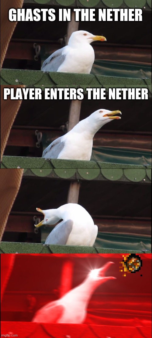 Annoying ghasts be like | GHASTS IN THE NETHER; PLAYER ENTERS THE NETHER | image tagged in memes,inhaling seagull,minecraft | made w/ Imgflip meme maker