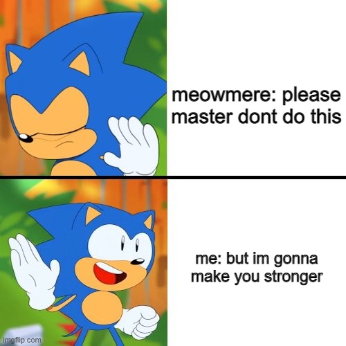 Sonic Drake | meowmere: please master dont do this; me: but im gonna make you stronger | image tagged in sonic drake | made w/ Imgflip meme maker