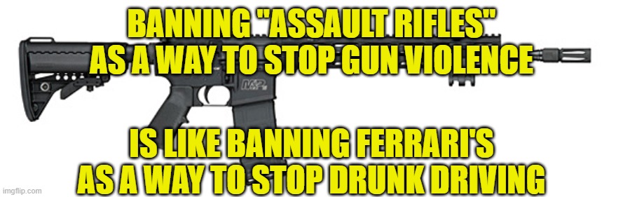 S&W Assault Rifle | BANNING "ASSAULT RIFLES" AS A WAY TO STOP GUN VIOLENCE; IS LIKE BANNING FERRARI'S AS A WAY TO STOP DRUNK DRIVING | image tagged in s w assault rifle | made w/ Imgflip meme maker