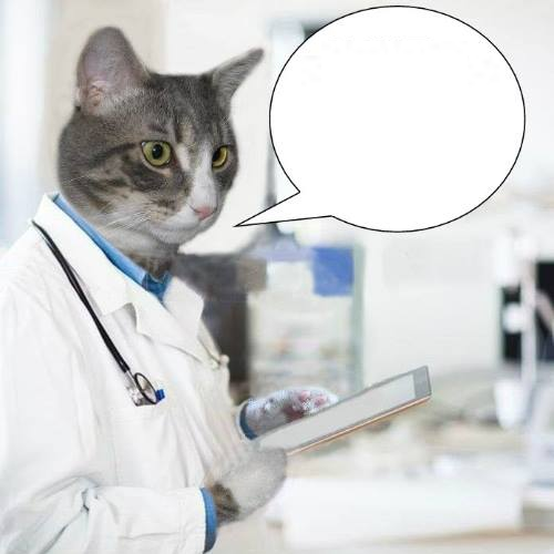 High Quality Dr. Jack Medical Cat Blank Meme Template