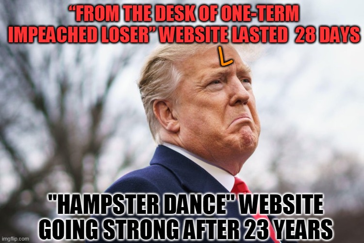 “From the Desk of One-term impeached loser” website lasted  28 days | “FROM THE DESK OF ONE-TERM IMPEACHED LOSER” WEBSITE LASTED  28 DAYS; L; "HAMPSTER DANCE" WEBSITE GOING STRONG AFTER 23 YEARS | image tagged in trumptard | made w/ Imgflip meme maker