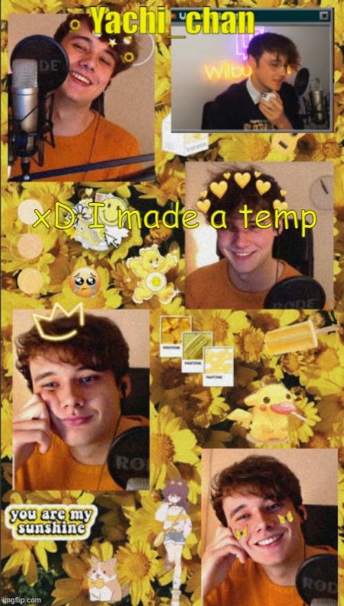 Yachi's wilbur temp <3 | xD I made a temp | image tagged in yachi's wilbur temp 3 | made w/ Imgflip meme maker