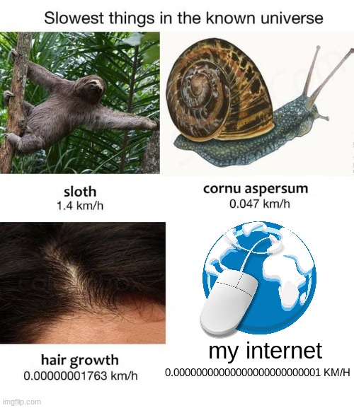 My dang internet | my internet; 0.00000000000000000000000001 KM/H | image tagged in slowest things,slow,internet,meme,computer,wifi | made w/ Imgflip meme maker
