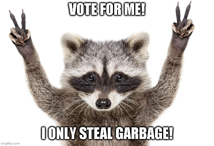 Raccoon for Congress | VOTE FOR ME! I ONLY STEAL GARBAGE! | image tagged in raccoon,for congress | made w/ Imgflip meme maker