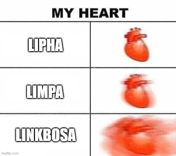 My heart blank |  LIPHA; LIMPA; LINKBOSA | image tagged in my heart blank | made w/ Imgflip meme maker