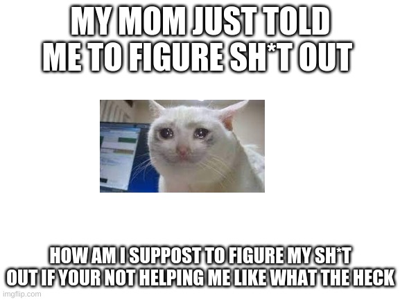 Blank White Template | MY MOM JUST TOLD ME TO FIGURE SH*T OUT; HOW AM I SUPPOST TO FIGURE MY SH*T OUT IF YOUR NOT HELPING ME LIKE WHAT THE HECK | image tagged in blank white template | made w/ Imgflip meme maker