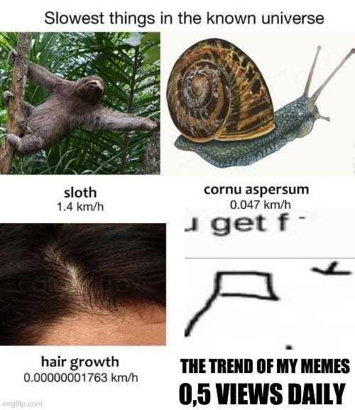 trend of my meme | THE TREND OF MY MEMES; 0,5 VIEWS DAILY | image tagged in slowest things,memes,my meme,slow | made w/ Imgflip meme maker