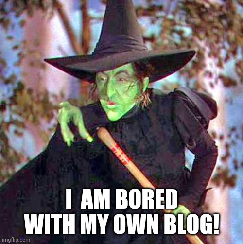 Wicked Witch | I  AM BORED WITH MY OWN BLOG! | image tagged in wicked witch | made w/ Imgflip meme maker