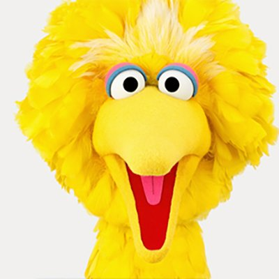 High Quality Excited Big Bird Blank Meme Template