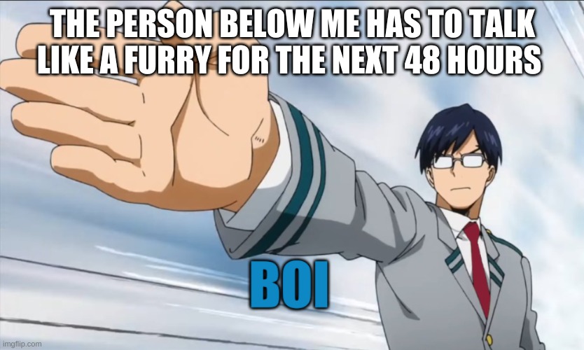 THE PERSON BELOW ME HAS TO TALK LIKE A FURRY FOR THE NEXT 48 HOURS | image tagged in iida boi | made w/ Imgflip meme maker