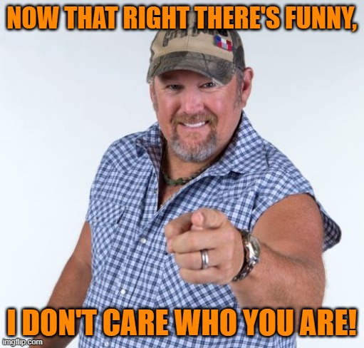 Larry the Cable Guy | NOW THAT RIGHT THERE'S FUNNY, I DON'T CARE WHO YOU ARE! | image tagged in larry the cable guy | made w/ Imgflip meme maker