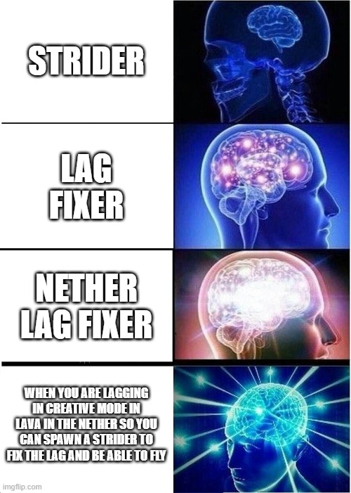 Expanding Brain Meme | STRIDER; LAG FIXER; NETHER LAG FIXER; WHEN YOU ARE LAGGING IN CREATIVE MODE IN LAVA IN THE NETHER SO YOU CAN SPAWN A STRIDER TO FIX THE LAG AND BE ABLE TO FLY | image tagged in memes,expanding brain | made w/ Imgflip meme maker