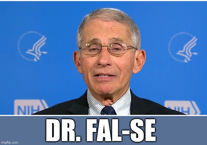 Dr Fauci | DR. FAL-SE | image tagged in dr fauci | made w/ Imgflip meme maker