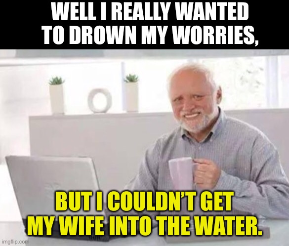 Worries | WELL I REALLY WANTED TO DROWN MY WORRIES, BUT I COULDN’T GET MY WIFE INTO THE WATER. | image tagged in harold | made w/ Imgflip meme maker