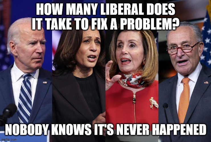 Moron Liberals | image tagged in stupid liberals | made w/ Imgflip meme maker