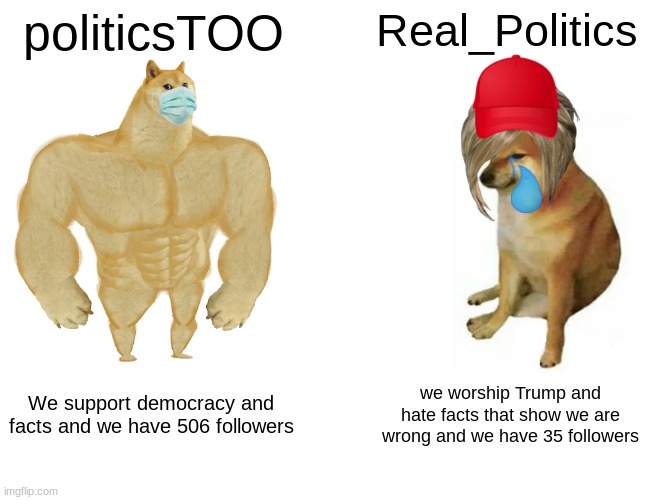 Few people are intimidated by your honestly pathetic stream. | politicsTOO; Real_Politics; We support democracy and facts and we have 506 followers; we worship Trump and hate facts that show we are wrong and we have 35 followers | image tagged in this,stream,small,politics,too,large | made w/ Imgflip meme maker