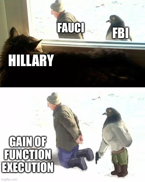 Fauci better watch his back. Hillary is watching. |  FAUCI; FBI; HILLARY; GAIN OF FUNCTION EXECUTION | image tagged in executioner pigeon,memes,hillary clinton,anthony fauci,fbi,jeffrey epstein | made w/ Imgflip meme maker