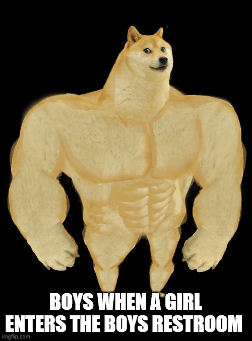 Swole Doge | BOYS WHEN A GIRL ENTERS THE BOYS RESTROOM | image tagged in swole doge | made w/ Imgflip meme maker