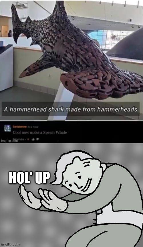 Sperm whale | HOL' UP | image tagged in fallout hold up,shark | made w/ Imgflip meme maker