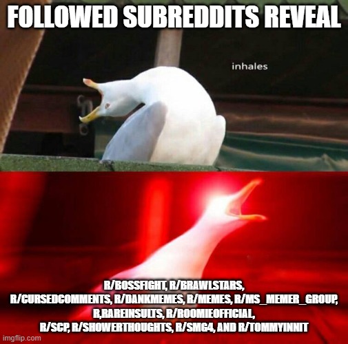 Inhaling Seagull  | FOLLOWED SUBREDDITS REVEAL; R/BOSSFIGHT, R/BRAWLSTARS, R/CURSEDCOMMENTS, R/DANKMEMES, R/MEMES, R/MS_MEMER_GROUP, R,RAREINSULTS, R/ROOMIEOFFICIAL, R/SCP, R/SHOWERTHOUGHTS, R/SMG4, AND R/TOMMYINNIT | image tagged in inhaling seagull | made w/ Imgflip meme maker
