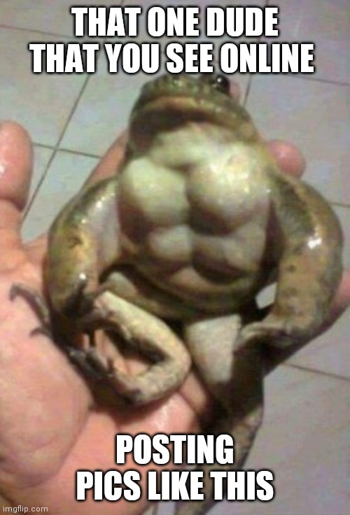 Buff frog | THAT ONE DUDE THAT YOU SEE ONLINE; POSTING PICS LIKE THIS | image tagged in frog | made w/ Imgflip meme maker