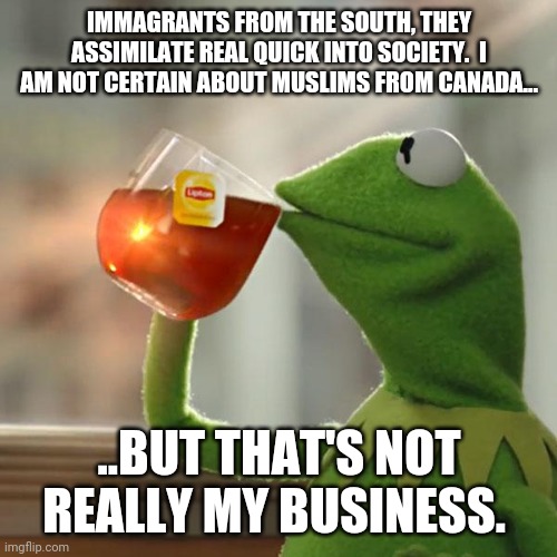 But That's None Of My Business Meme | IMMAGRANTS FROM THE SOUTH, THEY ASSIMILATE REAL QUICK INTO SOCIETY.  I AM NOT CERTAIN ABOUT MUSLIMS FROM CANADA... ..BUT THAT'S NOT REALLY M | image tagged in memes,but that's none of my business,kermit the frog | made w/ Imgflip meme maker