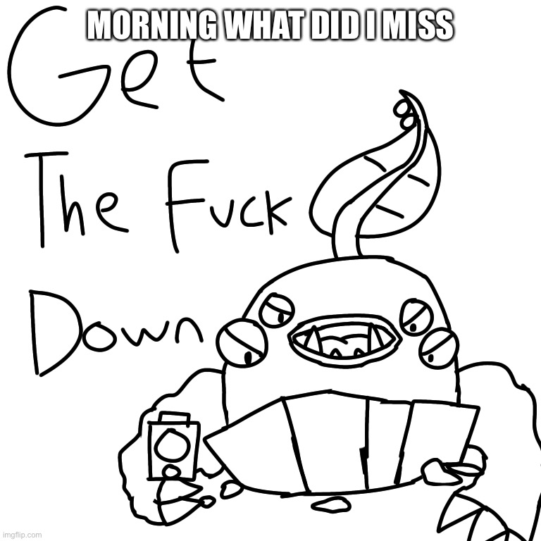Get The F**k Down | MORNING WHAT DID I MISS | image tagged in get the f k down | made w/ Imgflip meme maker
