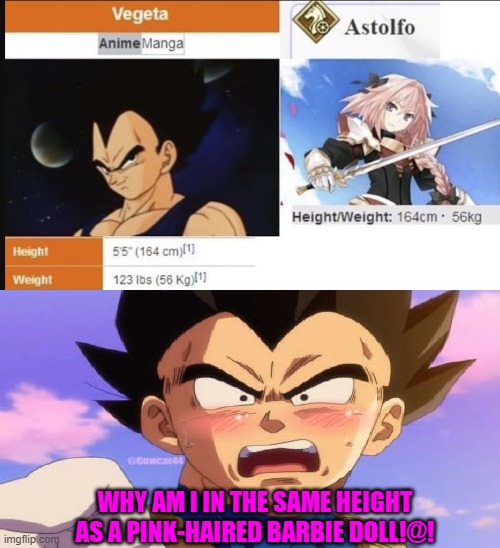 Vegeta and Astolfo has same height. | WHY AM I IN THE SAME HEIGHT AS A PINK-HAIRED BARBIE DOLL!@! | image tagged in dragon ball z,fate | made w/ Imgflip meme maker