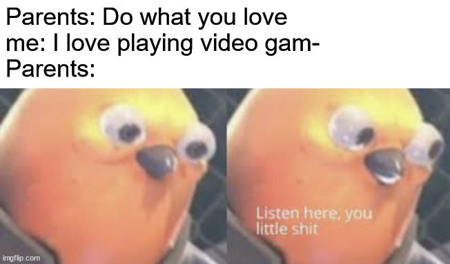 Listen here you little shit bird | Parents: Do what you love
me: I love playing video gam-
Parents: | image tagged in listen here you little shit bird | made w/ Imgflip meme maker