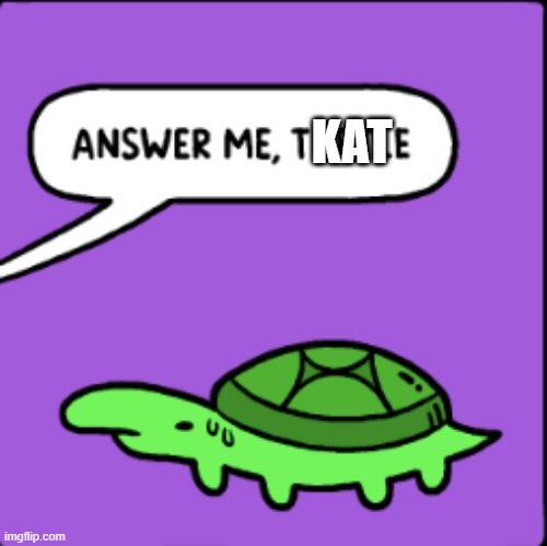 answer me, turtle | KAT | image tagged in answer me turtle | made w/ Imgflip meme maker