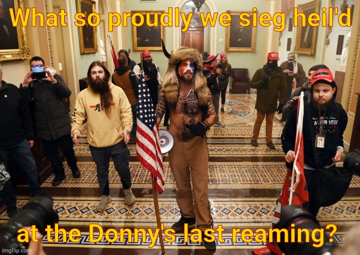 Capitol Buffalo guy | What so proudly we sieg heil'd at the Donny's last reaming? | image tagged in capitol buffalo guy | made w/ Imgflip meme maker