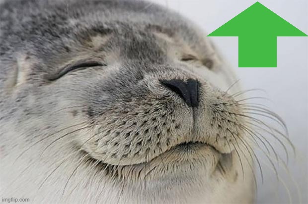 Satisfied Seal Meme | image tagged in memes,satisfied seal | made w/ Imgflip meme maker