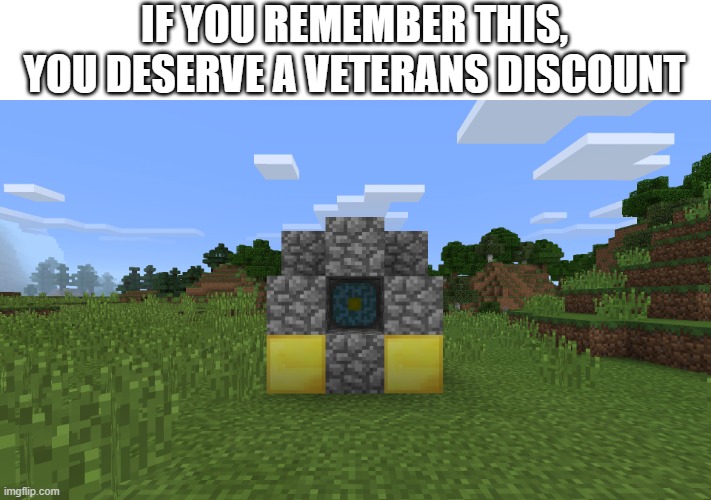 Was this a real thing? | IF YOU REMEMBER THIS, YOU DESERVE A VETERANS DISCOUNT | image tagged in memes,funny meme,veteran,minecraft | made w/ Imgflip meme maker