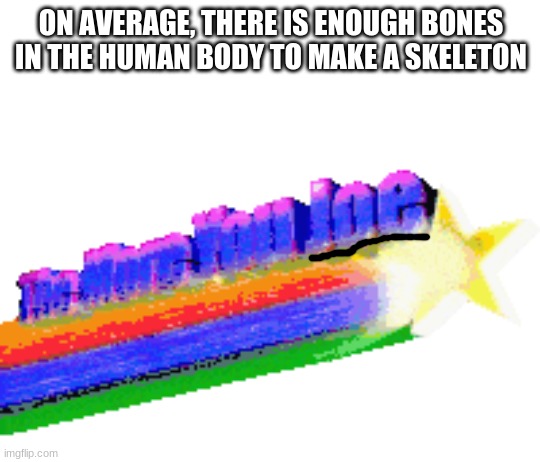 ON AVERAGE, THERE IS ENOUGH BONES IN THE HUMAN BODY TO MAKE A SKELETON | image tagged in the more you know | made w/ Imgflip meme maker