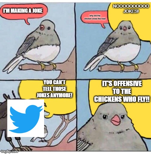 twitter be like: | NOOOOOOOOOO JOKES! I'M MAKING A JOKE; why did the chicken cross the road; YOU CAN'T TELL THOSE JOKES ANYMORE! IT'S OFFENSIVE TO THE CHICKENS WHO FLY!! | image tagged in annoyed bird,twitter,memes | made w/ Imgflip meme maker
