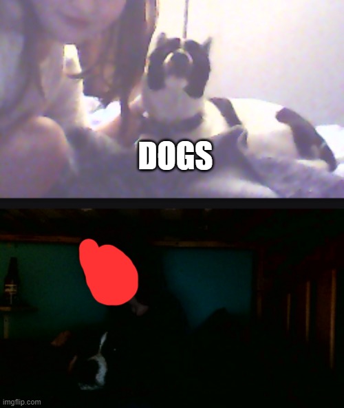 DOGS | made w/ Imgflip meme maker