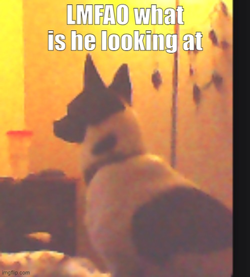 LMFAO what is he looking at | made w/ Imgflip meme maker