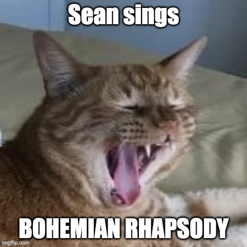Sean the Singing Cat | Sean sings; BOHEMIAN RHAPSODY | image tagged in cats,queen | made w/ Imgflip meme maker