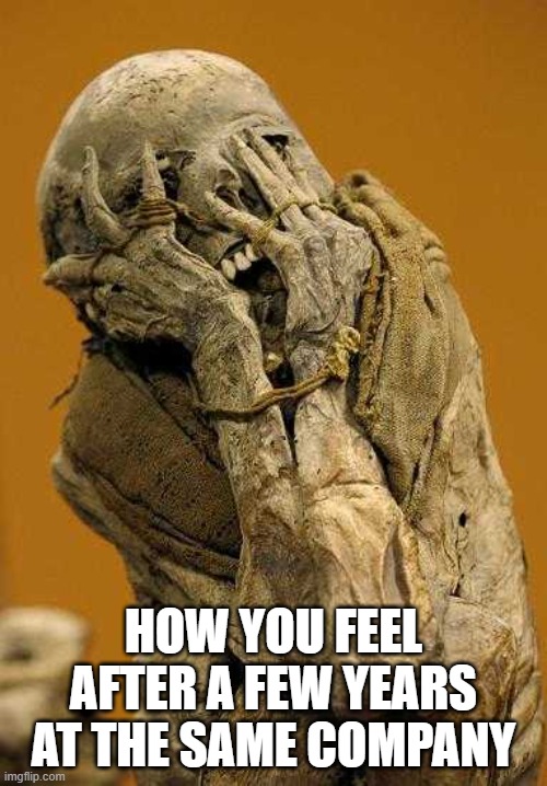 Understaffed | HOW YOU FEEL AFTER A FEW YEARS AT THE SAME COMPANY | image tagged in understaffed,overworked,mummy,office,office life,hell | made w/ Imgflip meme maker