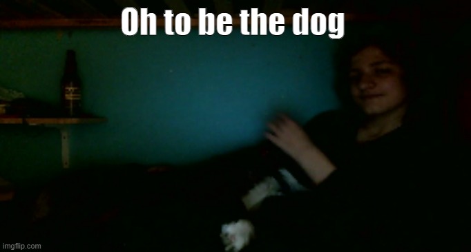 Oh to be the dog | made w/ Imgflip meme maker
