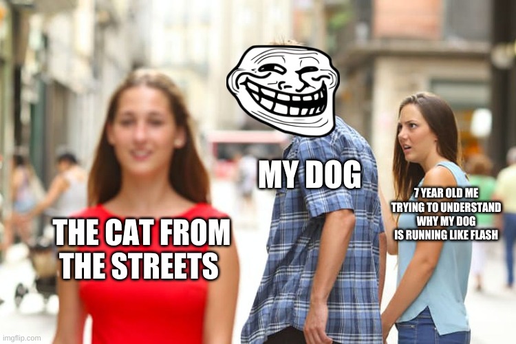 funni. | MY DOG; 7 YEAR OLD ME TRYING TO UNDERSTAND WHY MY DOG IS RUNNING LIKE FLASH; THE CAT FROM THE STREETS | image tagged in memes,distracted boyfriend | made w/ Imgflip meme maker