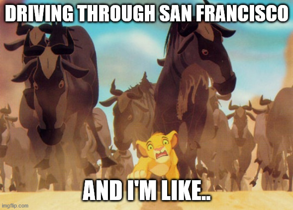 Lion King Stampede | DRIVING THROUGH SAN FRANCISCO; AND I'M LIKE.. | image tagged in lion king stampede | made w/ Imgflip meme maker
