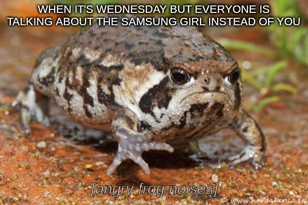 Grumpy Toad Meme | WHEN IT'S WEDNESDAY BUT EVERYONE IS TALKING ABOUT THE SAMSUNG GIRL INSTEAD OF YOU; [angry frog noises] | image tagged in memes,grumpy toad | made w/ Imgflip meme maker